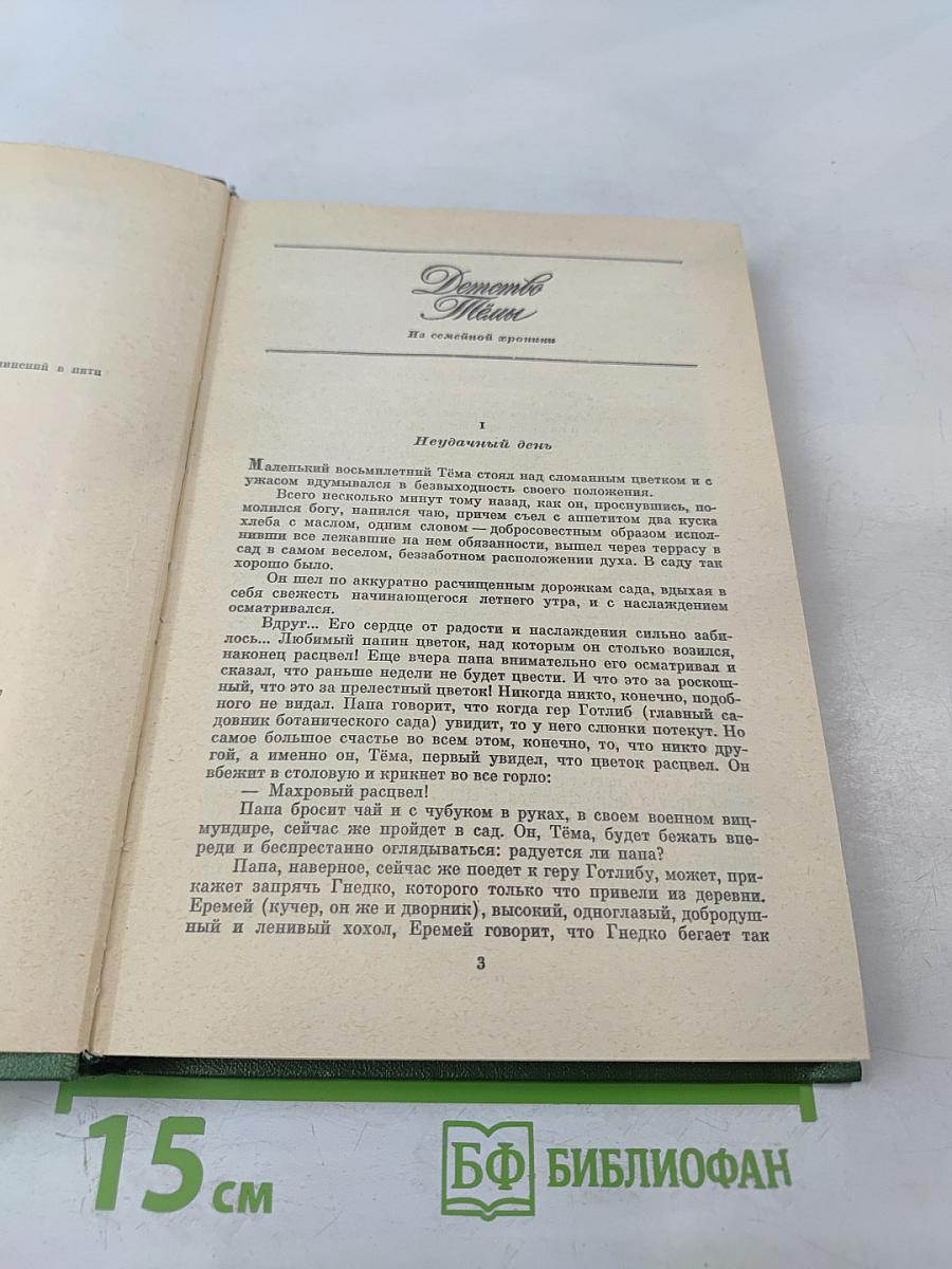 Детство Тёмы. Гимназисты