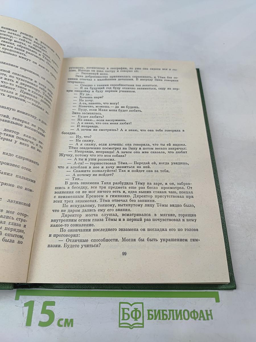 Детство Тёмы. Гимназисты