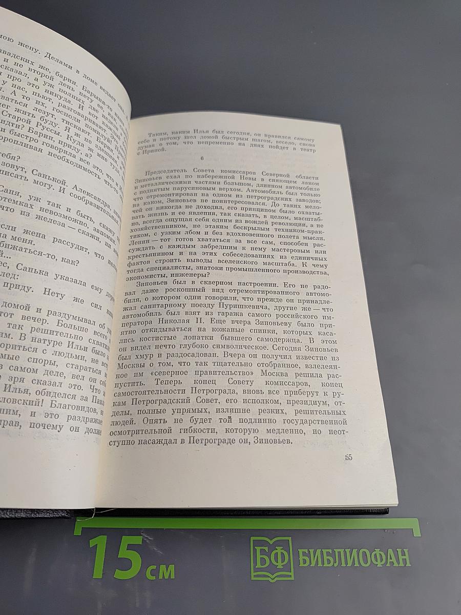 Угол падения. На невских равнинах