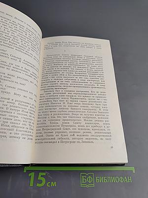 Угол падения. На невских равнинах