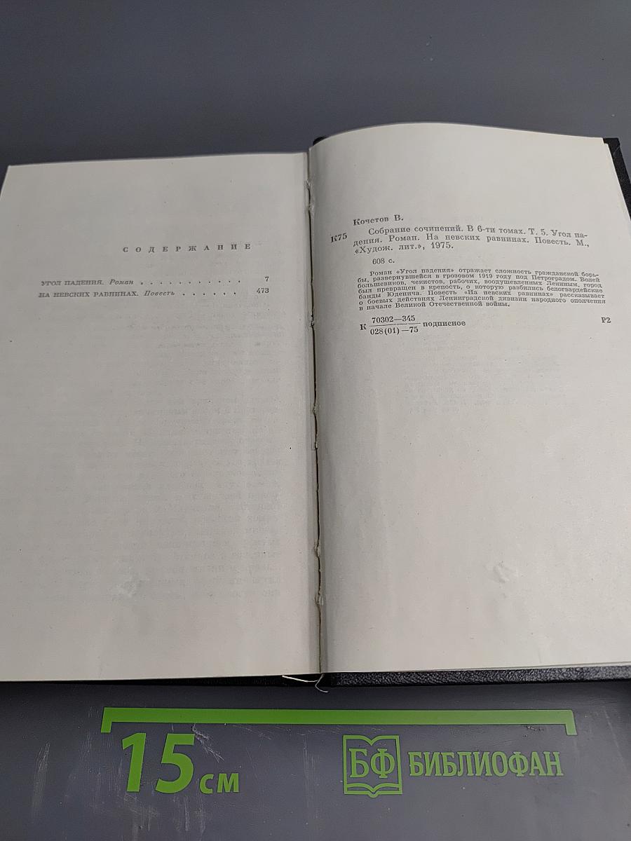 Угол падения. На невских равнинах