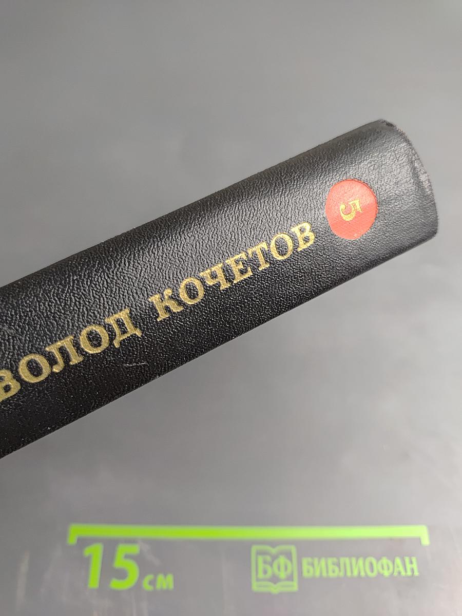 Угол падения. На невских равнинах