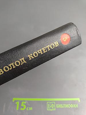 Угол падения. На невских равнинах