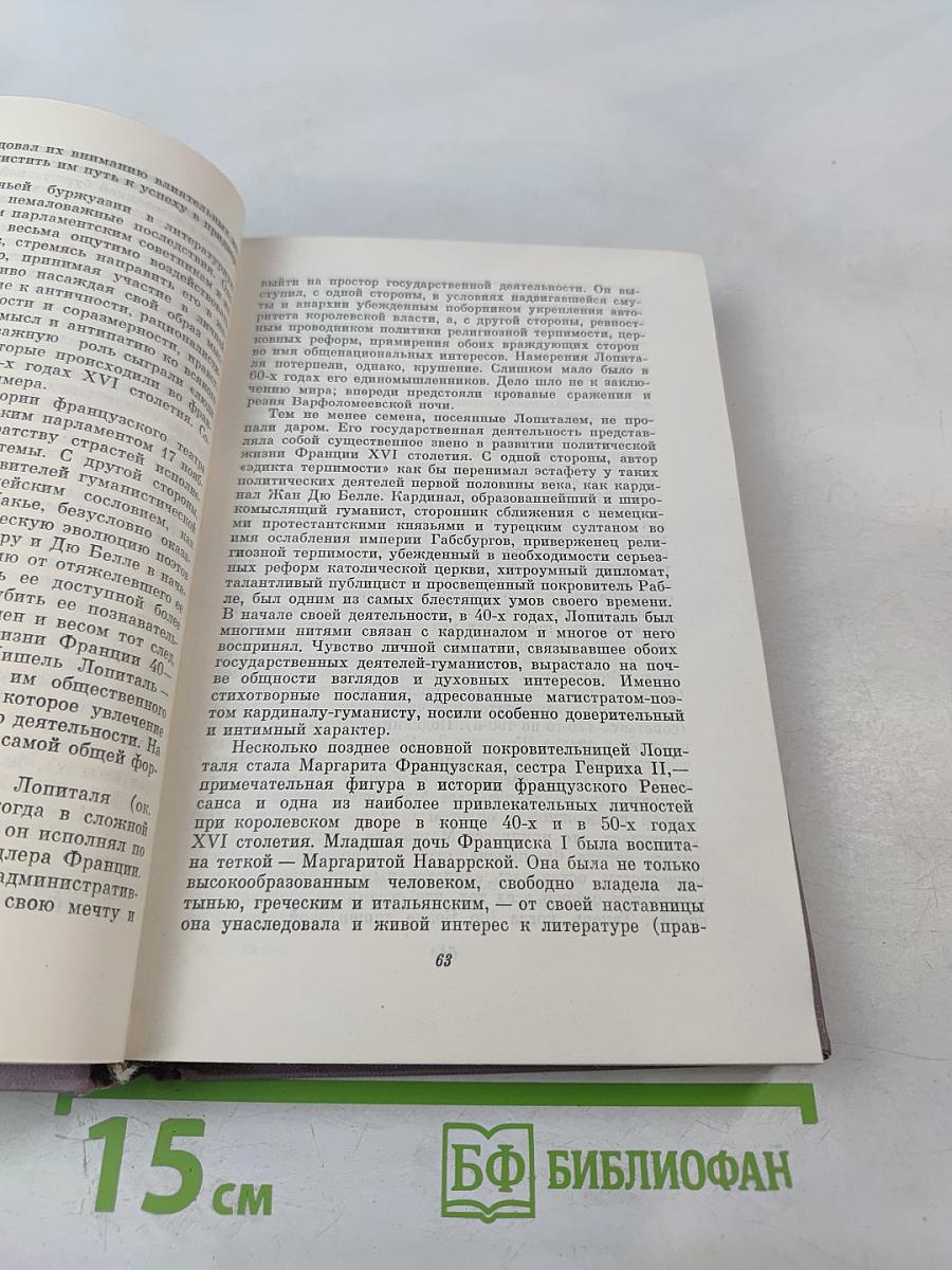 Поэзия Плеяды. Становление литературной школы