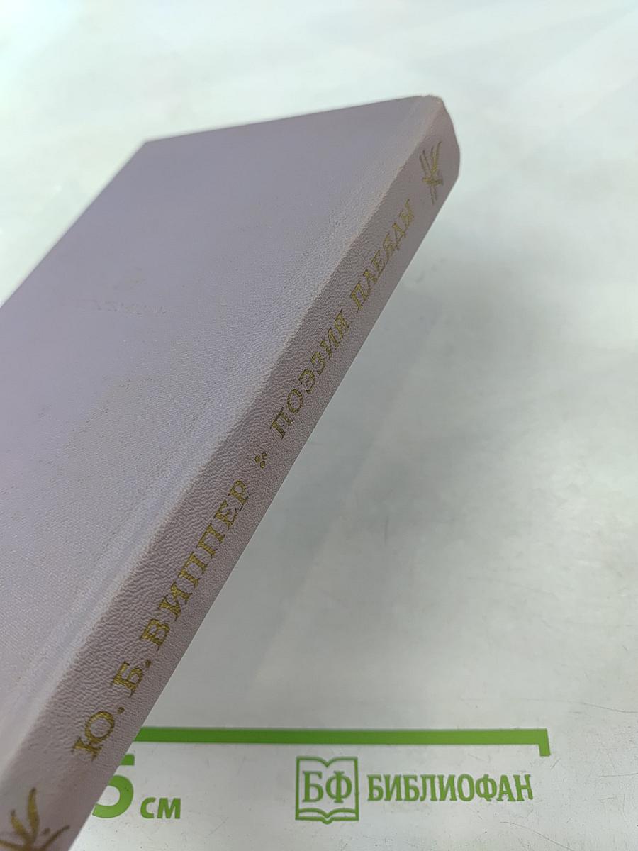 Поэзия Плеяды. Становление литературной школы