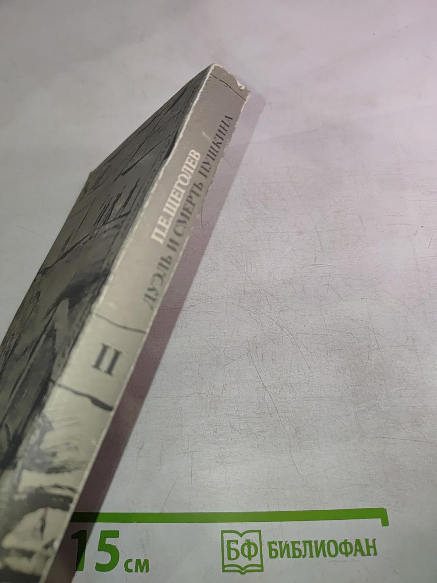 Дуэль и смерть Пушкина. Исследование и материалы. Книга 2