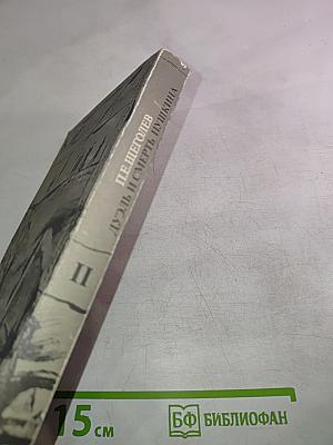 Дуэль и смерть Пушкина. Исследование и материалы. Книга 2