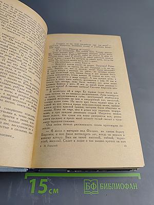 Избранные произведения. Рассказы и очерки. Мать