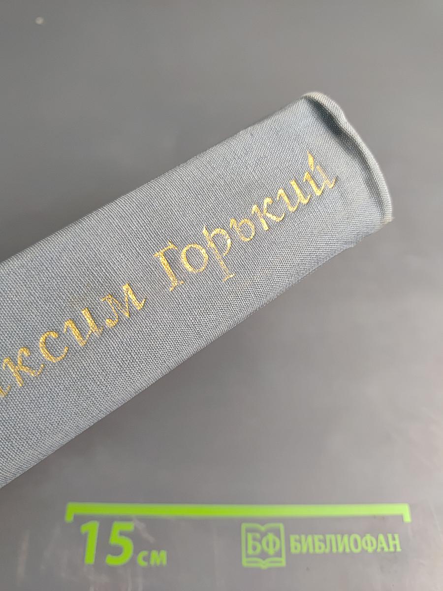 Избранные произведения. Рассказы и очерки. Мать