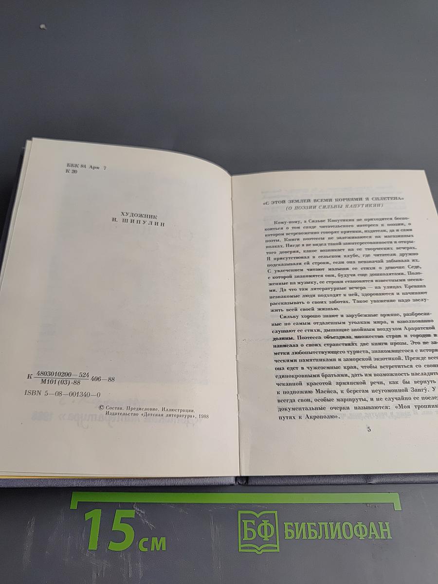 Часы ожидания