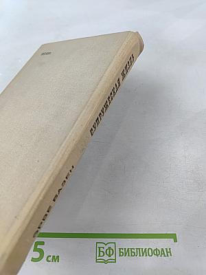 Супружеская жизнь