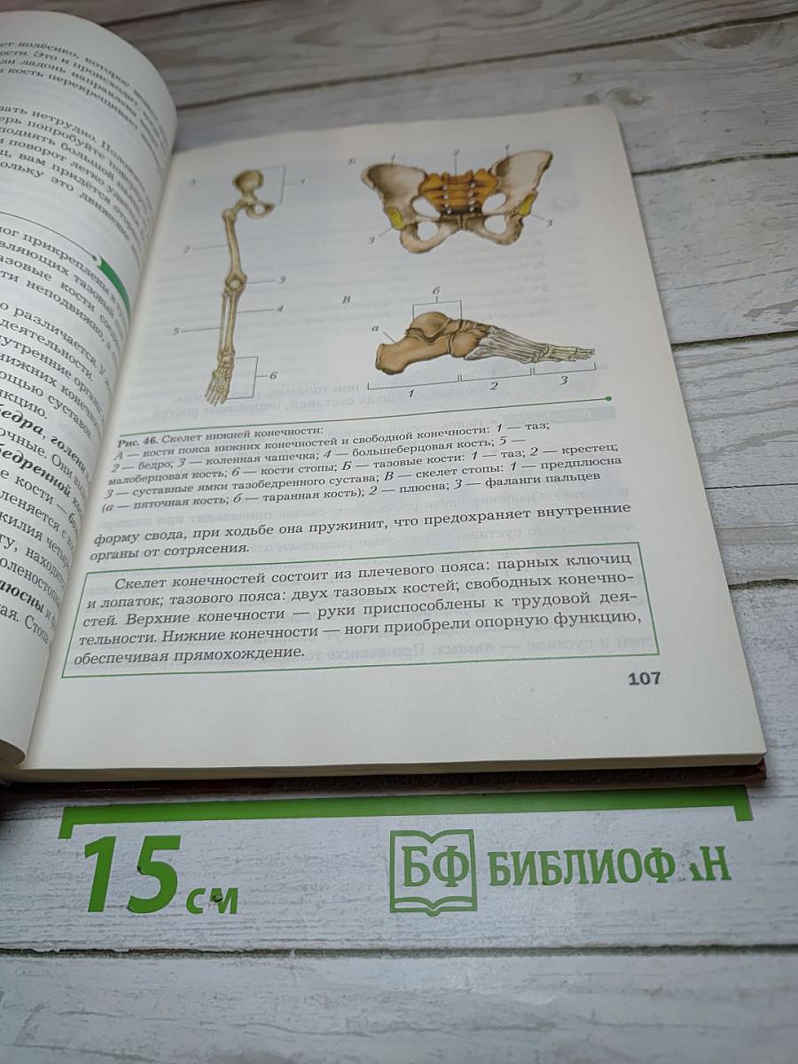 Биология. 9 класс