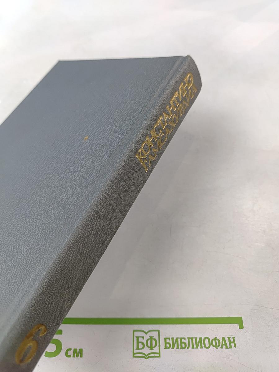 Улыбка Диониса. Страницы жизни Гете. Том 6