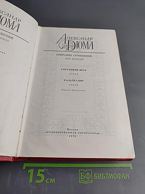 Собрание сочинений. Том десятый. Соратники Йегу. Сальтеадор