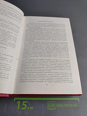 Собрание сочинений. Том десятый. Соратники Йегу. Сальтеадор