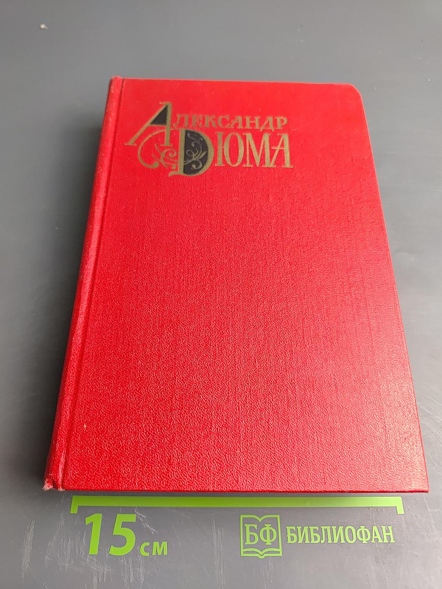 Собрание сочинений. Том десятый. Соратники Йегу. Сальтеадор