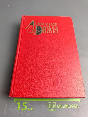 Собрание сочинений. Том десятый. Соратники Йегу. Сальтеадор