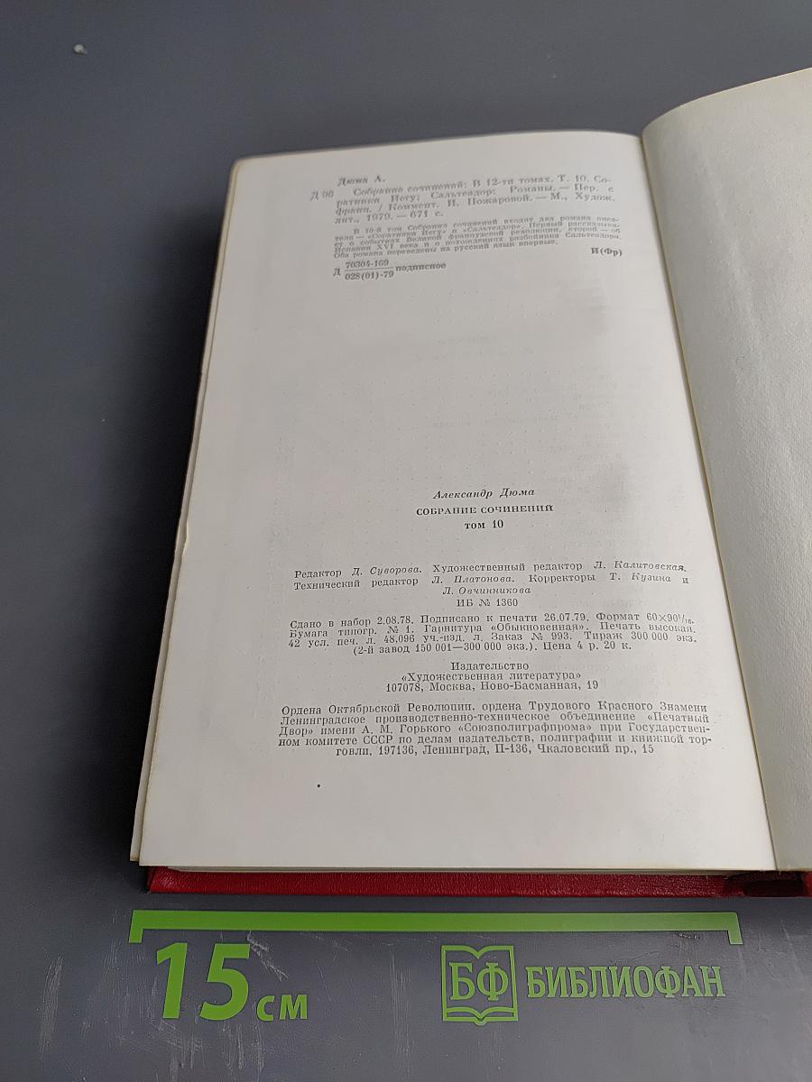 Собрание сочинений. Том десятый. Соратники Йегу. Сальтеадор