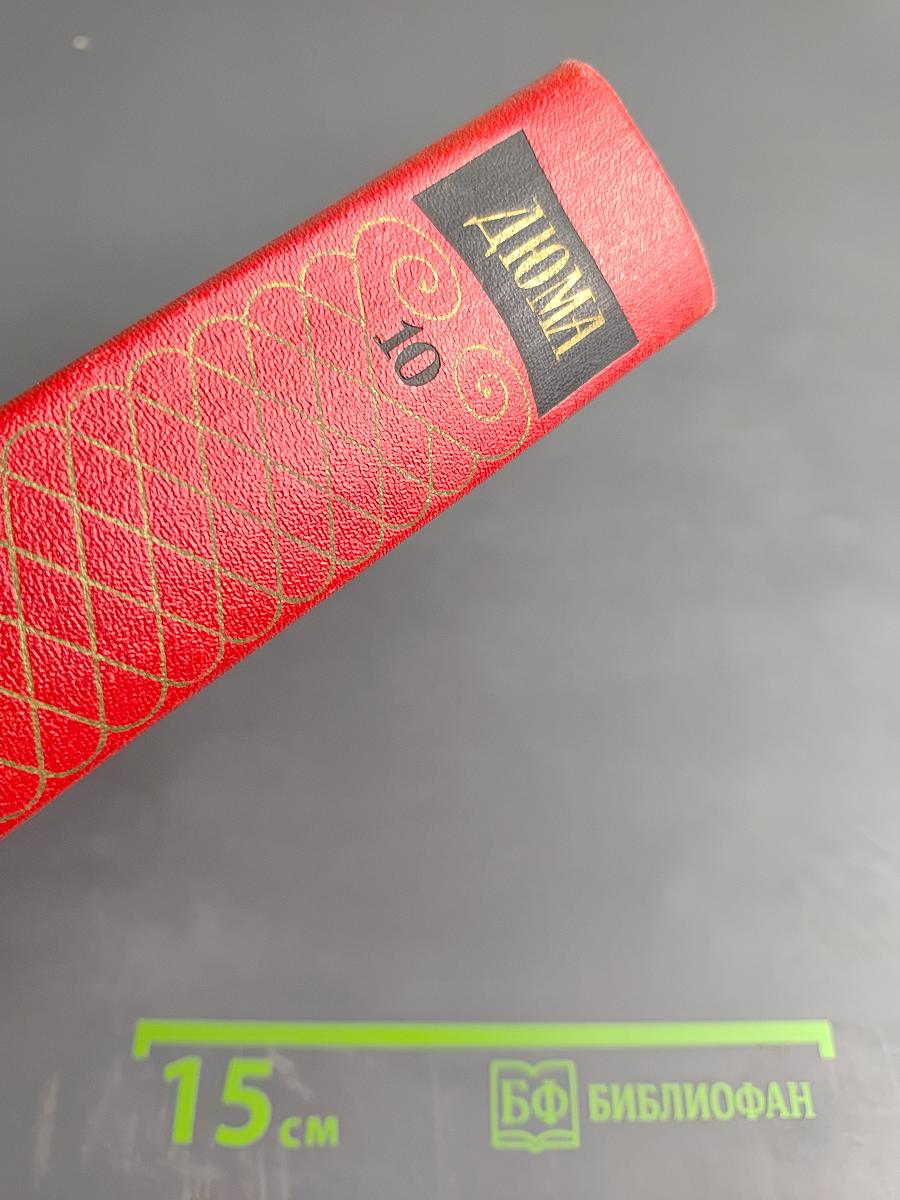 Собрание сочинений. Том десятый. Соратники Йегу. Сальтеадор