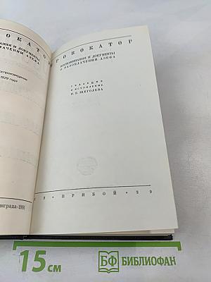 Провокатор. Правда о революционном терроре в России. Воспоминания и документы о разоблачении Азефа