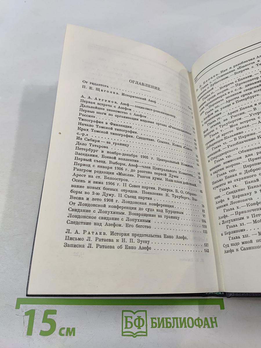 Провокатор. Правда о революционном терроре в России. Воспоминания и документы о разоблачении Азефа