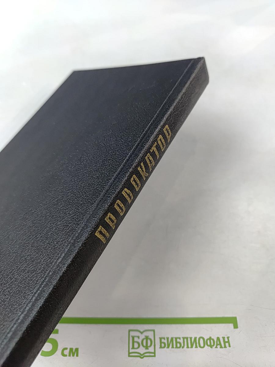Провокатор. Правда о революционном терроре в России. Воспоминания и документы о разоблачении Азефа