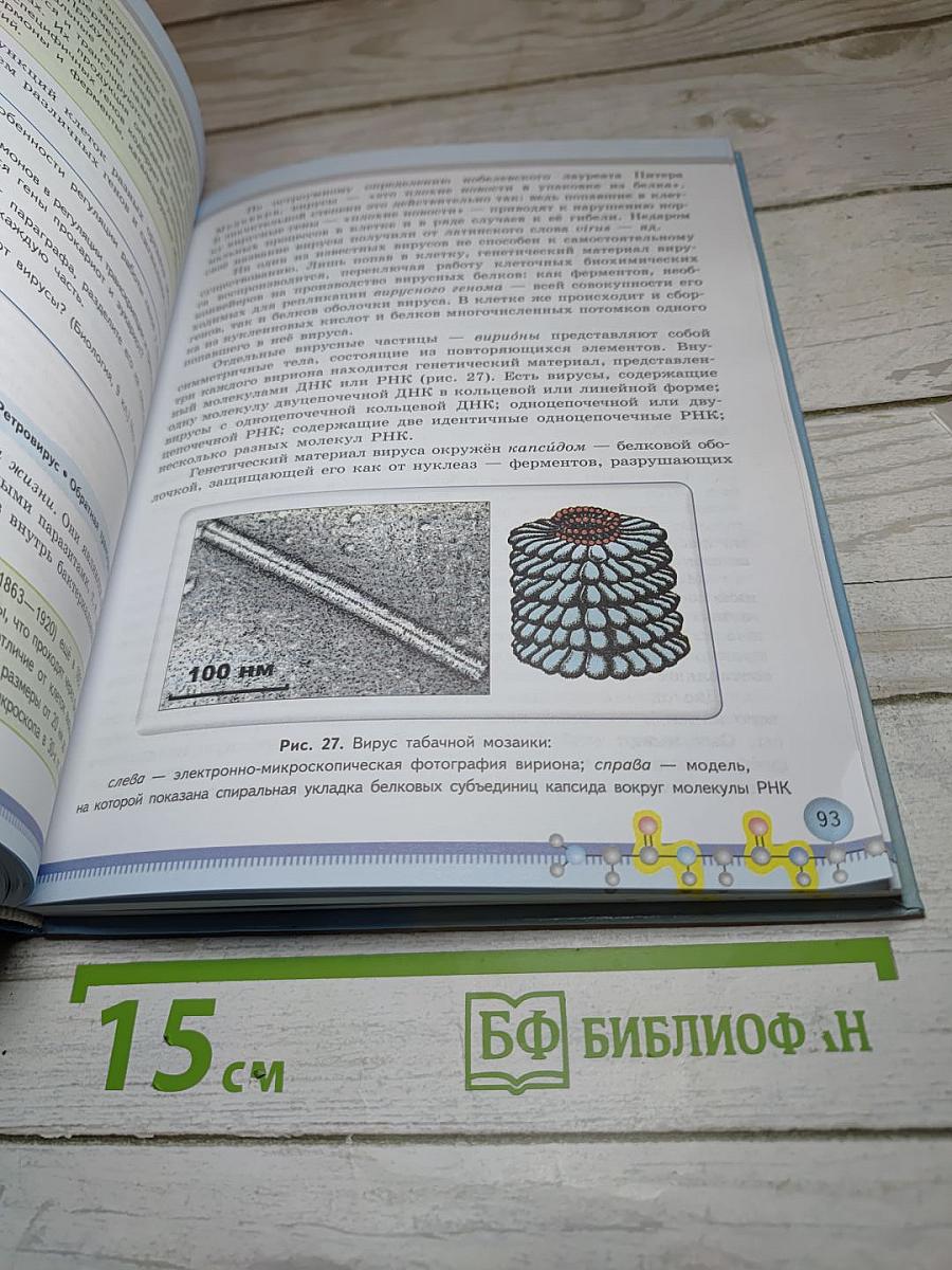 Биология 10 класс Базовый уровень