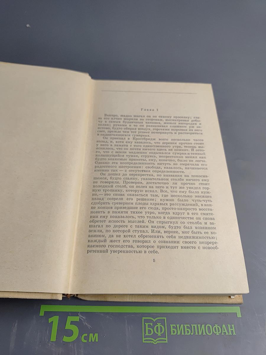 За городской стеной