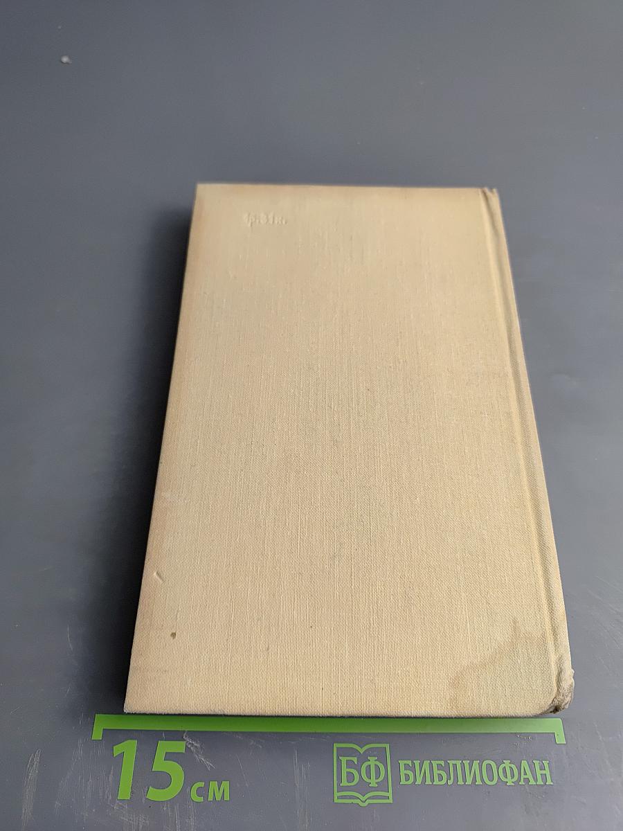 За городской стеной