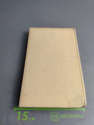 За городской стеной