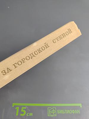 За городской стеной