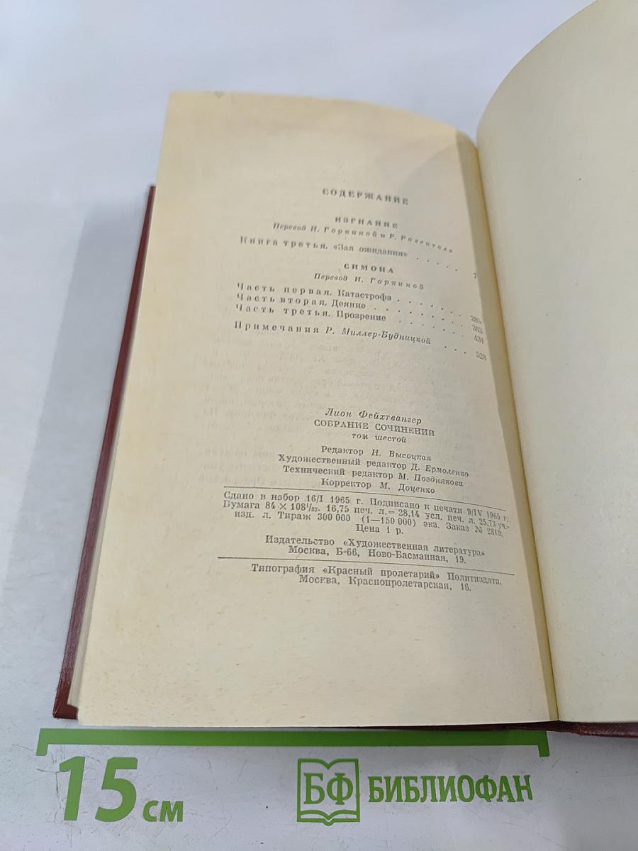 Изгнание. Симона. Том 6