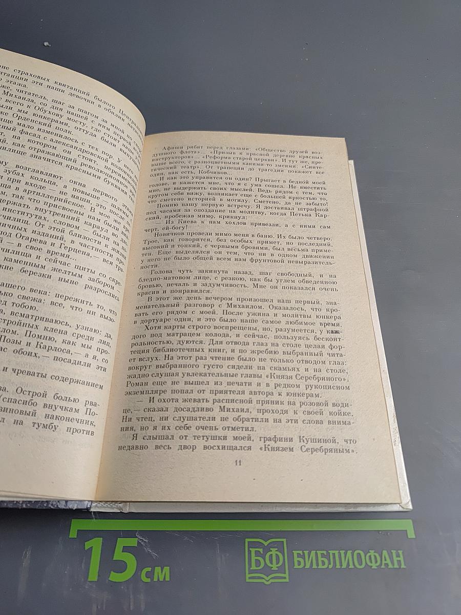 Одеты камнем. Радищев