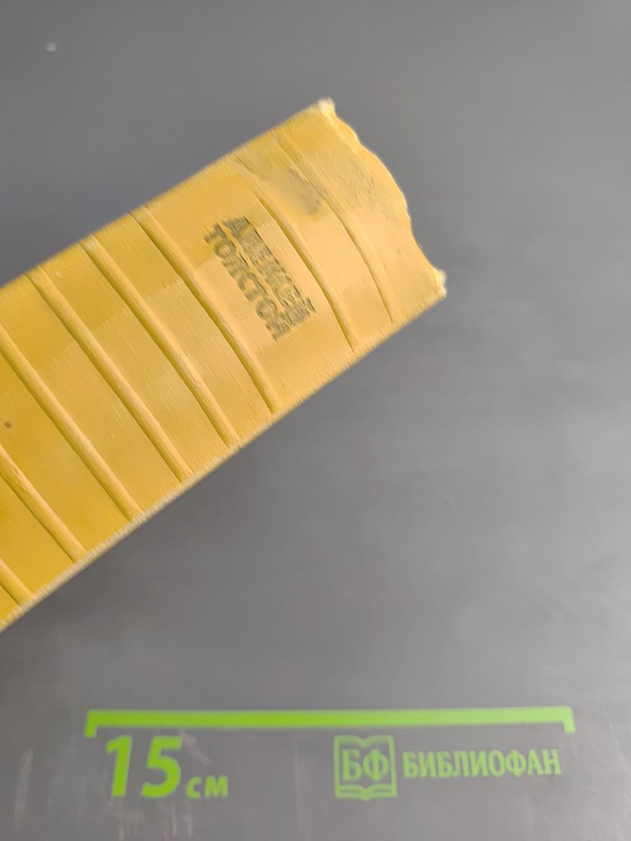 Собрание сочинений. Том четвертый. Повести и рассказы 1925-1928. Гиперболоид инженера Гарина. Роман