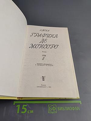 Графиня де Монсоро. Том II