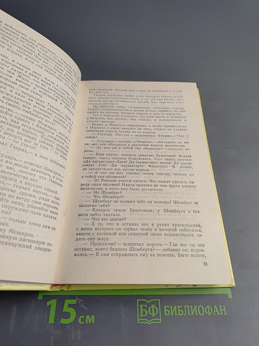 Графиня де Монсоро. Том II