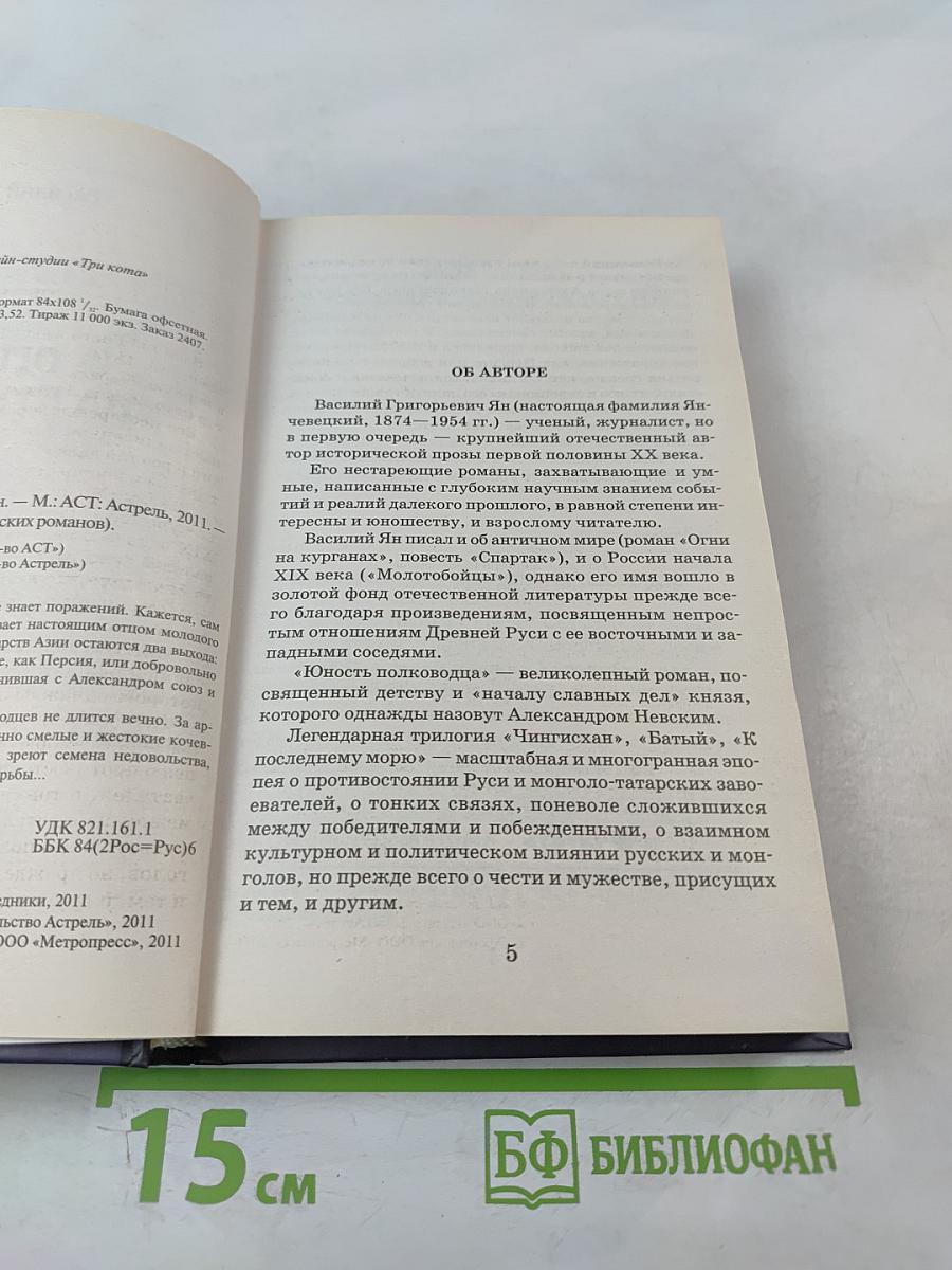 Огни на курганах