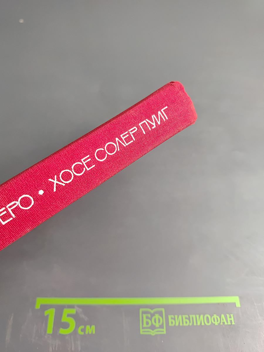 Две романа о революции