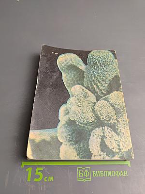 Книга о кактусах