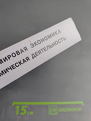 Мировая экономика и внешнеэкономическая деятельность. Курс лекций в двух томах. Том второй