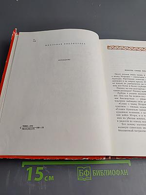 Слово о полку Игореве