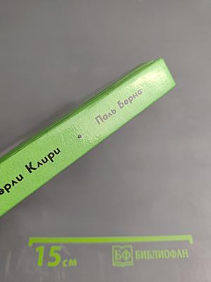 Леди Джейн. Рамона Хулиганка. Лошадь без головы