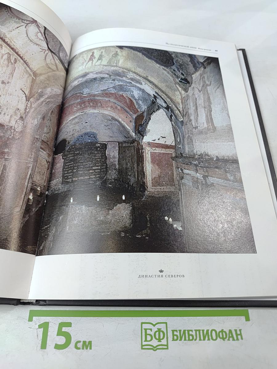 Династия Северов