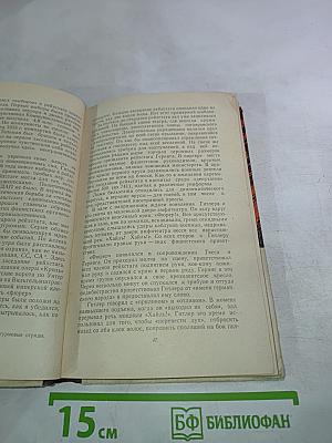 Записки о "третьем рейхе"
