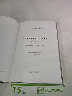 Я просто шел, не ведая куда... Повествование в письмах и стихах