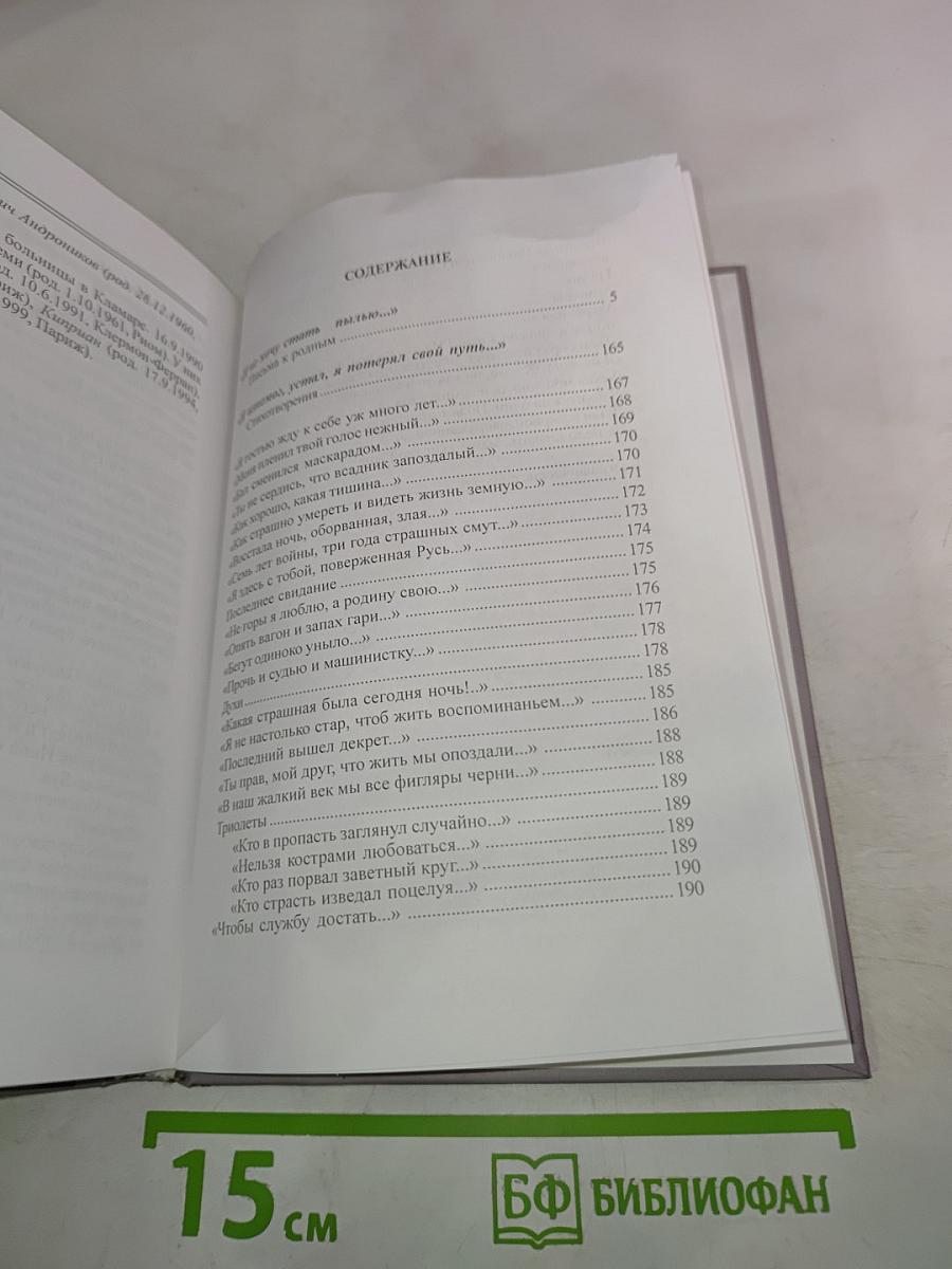 Я просто шел, не ведая куда... Повествование в письмах и стихах