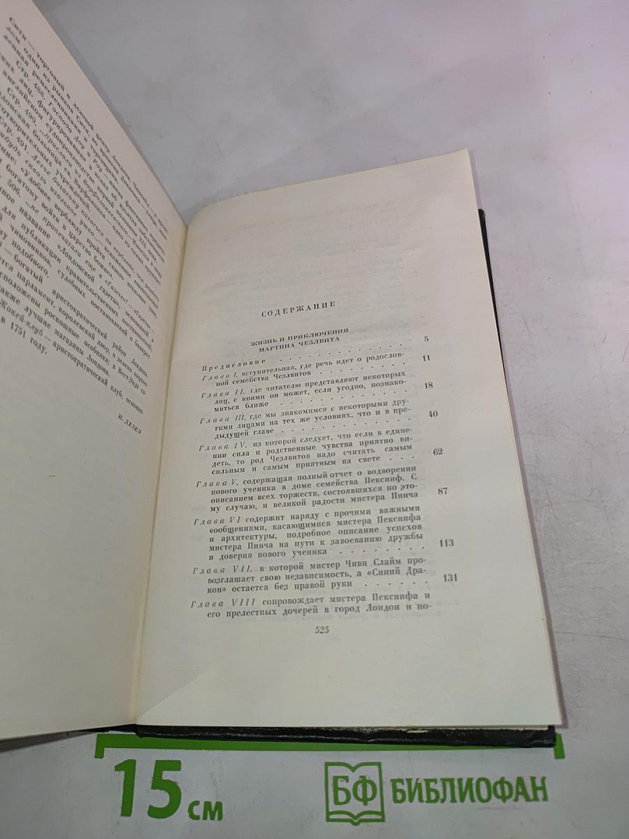 Собрание сочинений. Том десятый: Жизнь и приключения Мартина Чезлвита