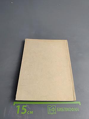 Друзья и враги