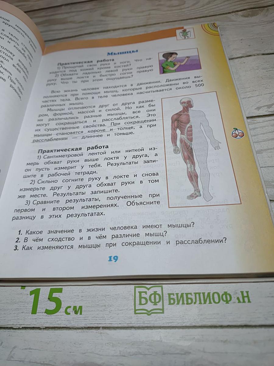 Окружающий мир, 3 класс, Часть 2