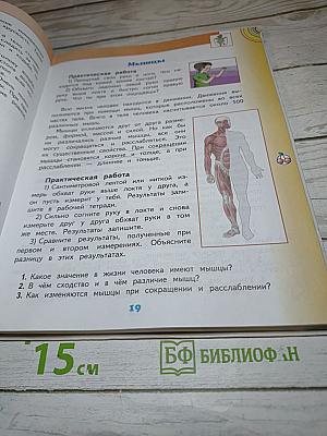 Окружающий мир, 3 класс, Часть 2